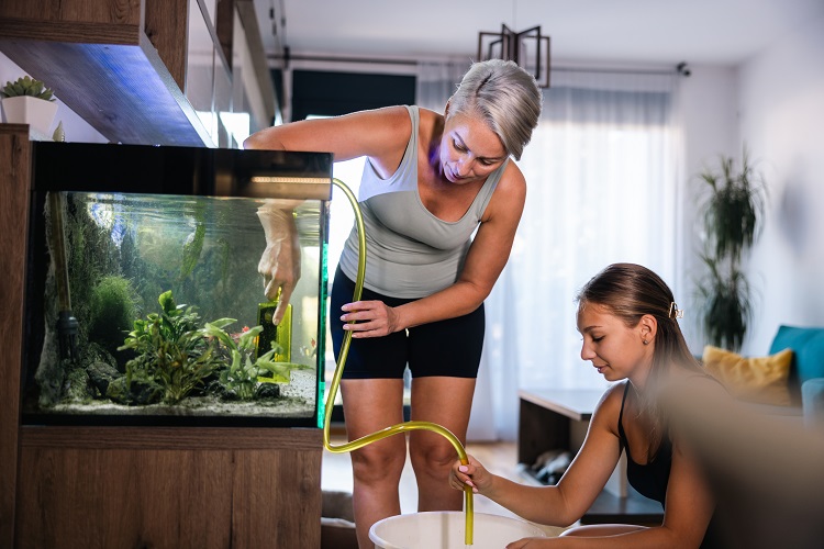 Freshwater Aquarium Setup Guide for New Fish Keepers